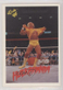 1990 Classic WWF Hulk Hogan #90
