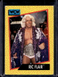 1991 Impel WCW Wrestling Ric Flair Nature Boy HOF #44