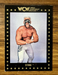 1991 WCW Championship Marketing #49 Sting EX