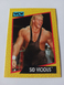 1991 Impel WCW Sid Vicious #24