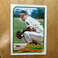 1989 Topps - #725 Terry Steinbach