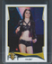 2014 Topps WWE  NXT Prospects Paige #14 Pre-Rookie
