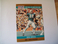 BOB GRIESE MIAMI DOLPHINS 1990 PRO SET HALL OF FAME SELECTION CARD #24