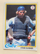 1978 Topps Steve Swisher Chicago Cubs #252