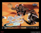 1998-99 Ultra #85 Michael Jordan BULLS