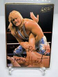 WWF (WWE) - Action Packed 1994 - #18 - Owen Hart - Z