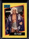 1991 Impel WCW Wrestling Ric Flair Nature Boy HOF #44