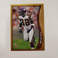 1998 Topps Chrome - #35 Randy Moss (RC)