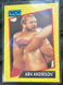 1991 Impel WCW Wrestling Trading Card #53 - Arn Anderson ap