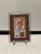 2023 Topps Allen & Ginter Kyle Stowers Framed Mini Auto RC #MA-KS Orioles Rookie