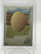 2019 Topps Allen & Ginter's Egg #213