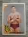 2010 WWE Topps Daniel Bryan RC #68 ROOKIE RC