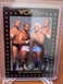 1991 Championship Marketing WCW The Four Horsemen  #14