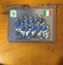 2006 Germany World Cup Soccer Team Shot #21 Italia with minor scratch.