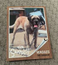 2018 Topps Archives "The Sandlot" #SL-H Mascot Hercules