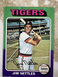 Jim Nettles Detroit Tigers 1975 Topps #497